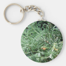 Cotton Lavender Key Chains