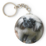 Cotton-Top Tamarin #1 Keychains