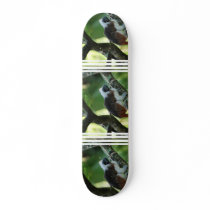 Cotton Topped Tamarin Skateboard
