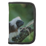 Cotton Topped Tamarin Wallet Folio Organizer