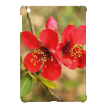 Cottoneaster iPad Mini Covers