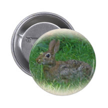 Cottontail Bunny Rabbit Cordinating Items Pinback Button