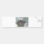 cottontail rabbit bumper stickers
