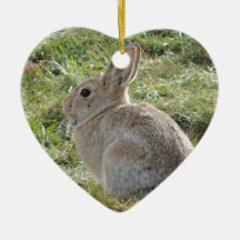 Cottontail Rabbit Christmas Ornaments