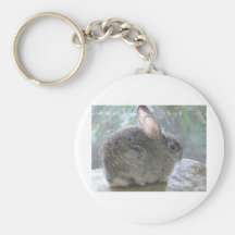 cottontail rabbit key chains