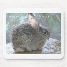 cottontail rabbit mouse pads