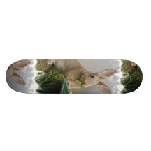 Cottontail Rabbit Skateboard