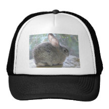 cottontail rabbit trucker hats