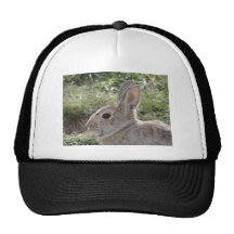 Cottontail Rabbit Trucker Hats