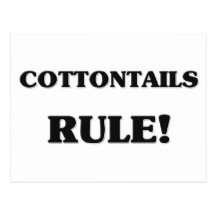 Cottontails Rule Post Cards