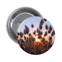 Cottontails summer grasses pinback buttons