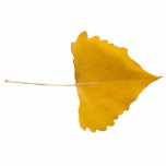 Cottonwood Leaf Cutout Magnet photo sculptures