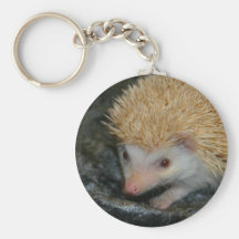 Cotty hedgehog keychains