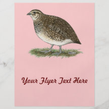 Coturnix Quail Hen Full Color Flyer