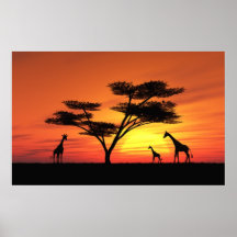 Coucher du soleil africain posters