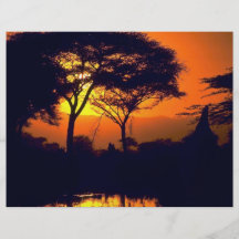 Coucher du soleil africain, parc national d'Arusha Tract Customisé