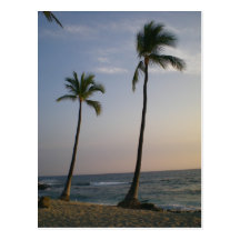 Coucher du soleil avec les vents commerciaux carte postale