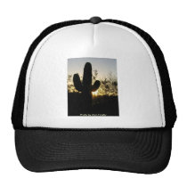 Coucher du soleil de Saguaro chapeaux