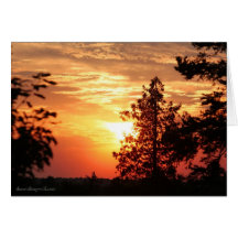 Coucher du soleil en juillet cartes de vœux