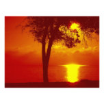 coucher du soleil photo sur toile