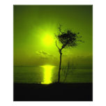 coucher du soleil photographies