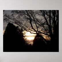 Coucher du soleil posters