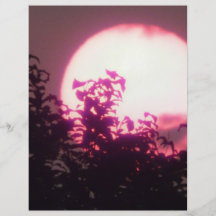 coucher du soleil pourpre tract personnalisé