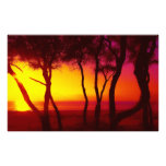 coucher du soleil  tirage photo