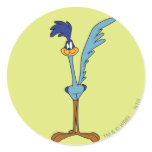 Coucou terrestre en couleurs autocollants