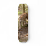 Cougar 007 skateboards