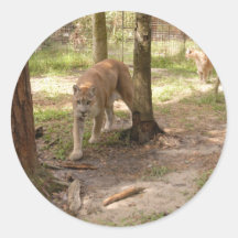 Cougar 007 stickers