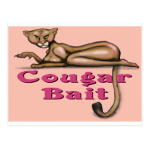 Cougar Bait Postcard