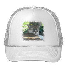 Cougar Baseball Hat
