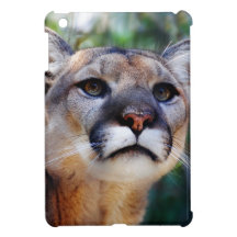 Cougar Case For The iPad Mini