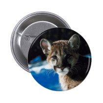 Cougar Cub buttons