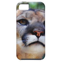 Cougar iPhone 5 Case