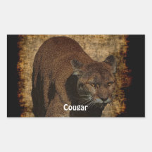 Cougar Mountain Lion Big Cat Wildlife Stickers