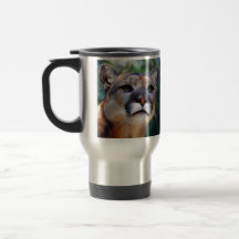 Cougar Mugs