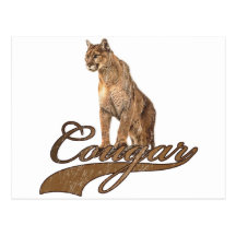Cougar Postcards