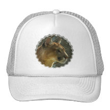 Cougar Puma Baseball Hat