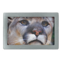 Cougar Rectangular Belt Buckle