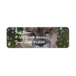 Cougar Return Address Label