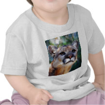 Cougar Shirts