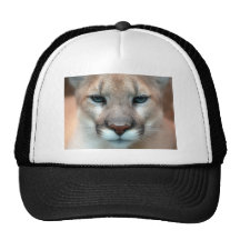 COUGAR TRUCKER HAT