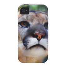 Cougar Vibe iPhone 4 Covers