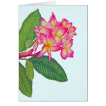 Couleur pour aquarelle de Frangipani Carte De Vœux
