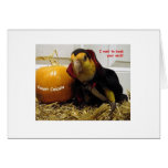 Count Caicula Greeting Cards