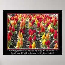 Count The Garden Print