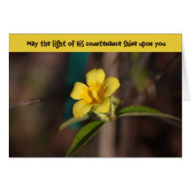Countenance on Carolina Greeting Cards