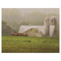 Country - Amish Farming Custom Flyer